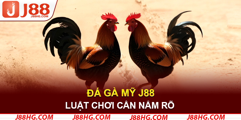 Chơi đúng luật, chọi siêu trúng