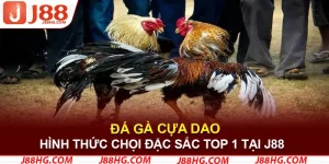đá gà cựa dao cực hay
