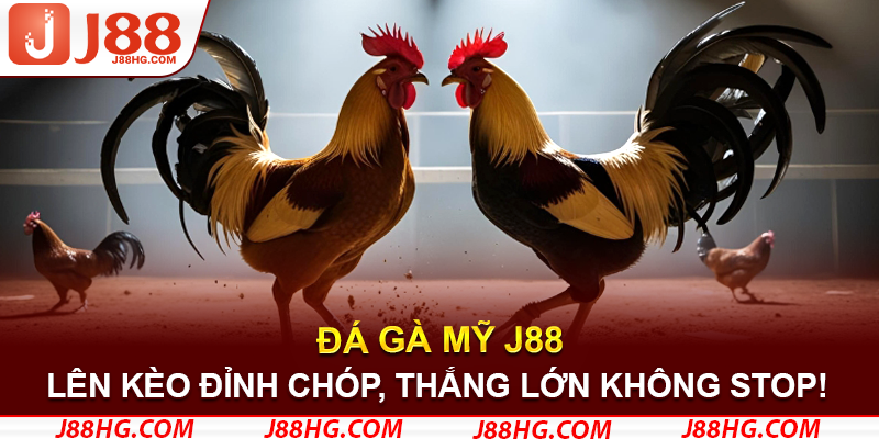 J88 - Lên Kèo Cực Chất, Thắng Lớn Cực Phất
