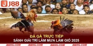 Đá Gà Trực Tiếp J88