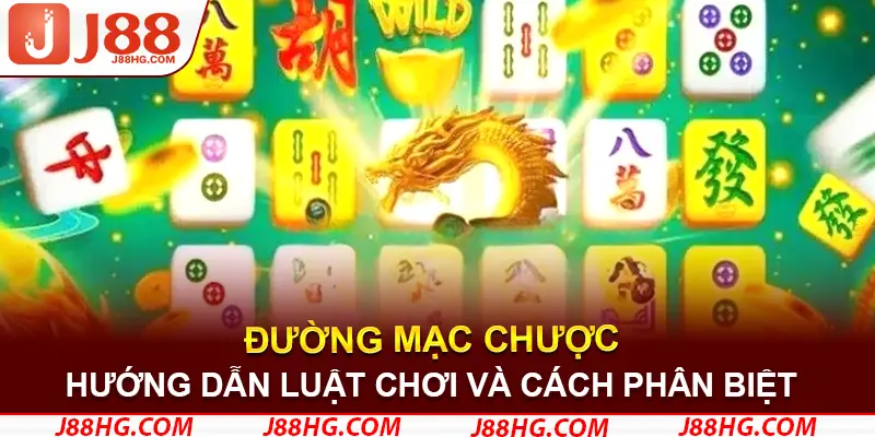 Hướng dẫn chi tiết luật chơi và cách phân biệt các loại bài